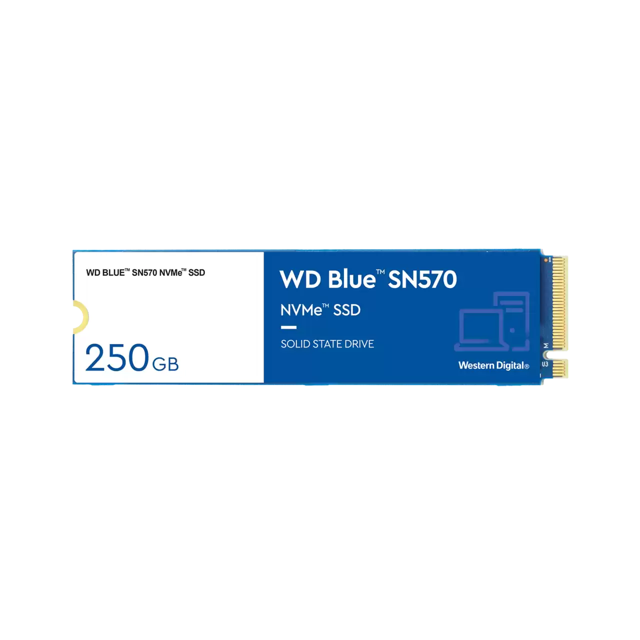 WDS250G3B0C – WD BLUE SN570 NVME SSD WDS250G3B0C.01